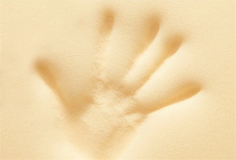 slow rebound sponge